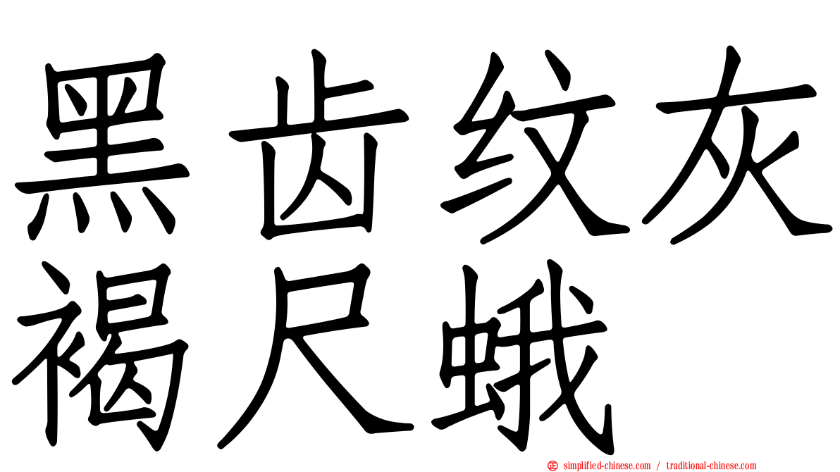 黑齿纹灰褐尺蛾