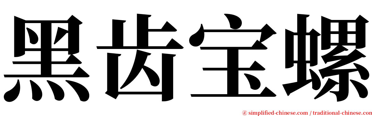 黑齿宝螺 serif font