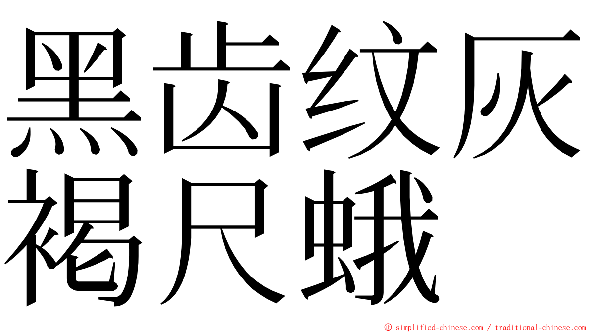 黑齿纹灰褐尺蛾 ming font