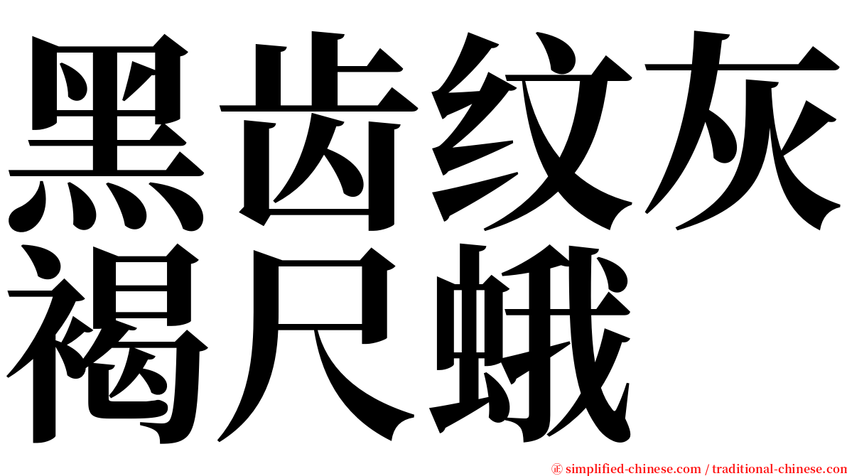 黑齿纹灰褐尺蛾 serif font