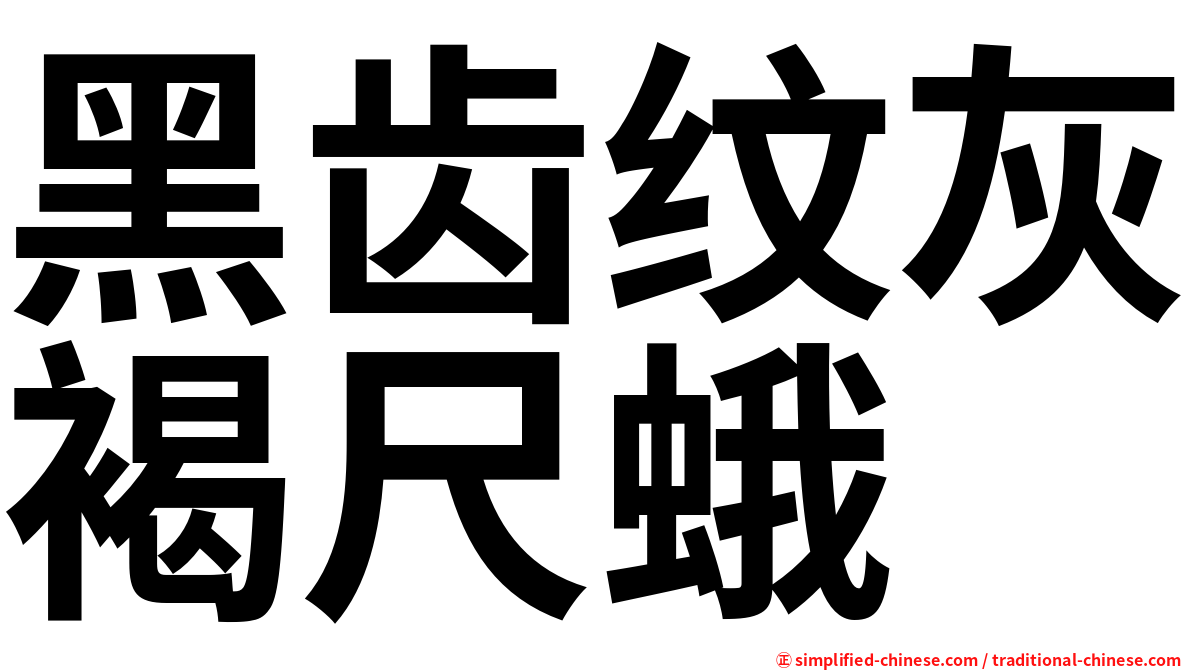 黑齿纹灰褐尺蛾
