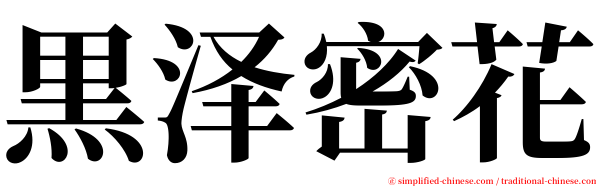 黒泽密花 serif font