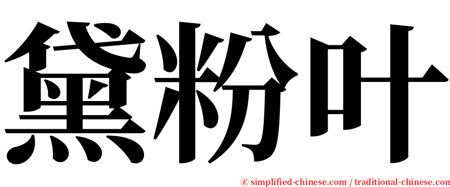 黛粉叶 serif font