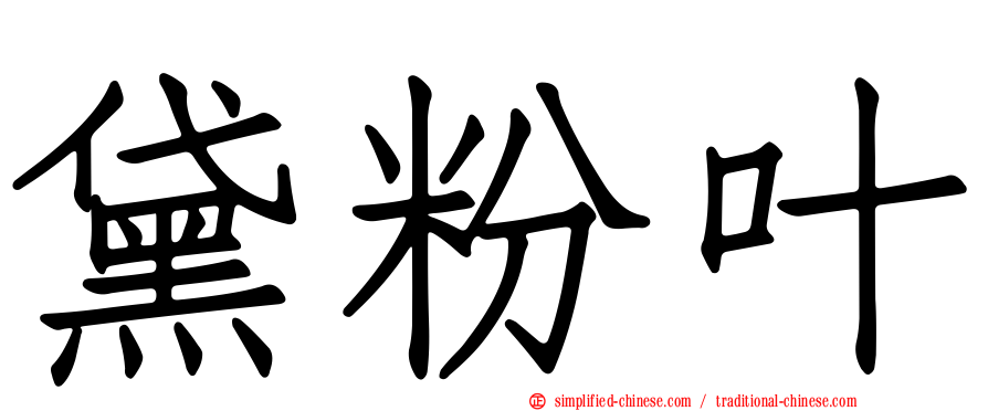 黛粉叶