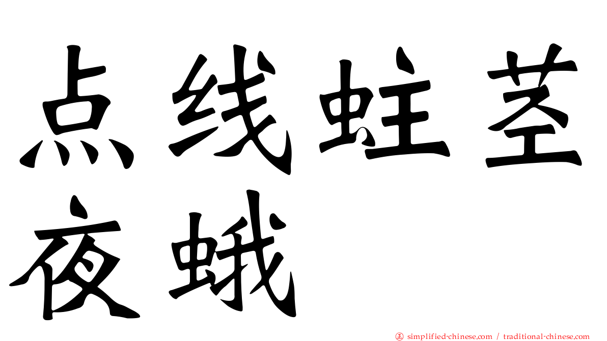 点线蛀茎夜蛾