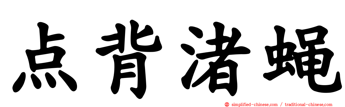 点背渚蝇