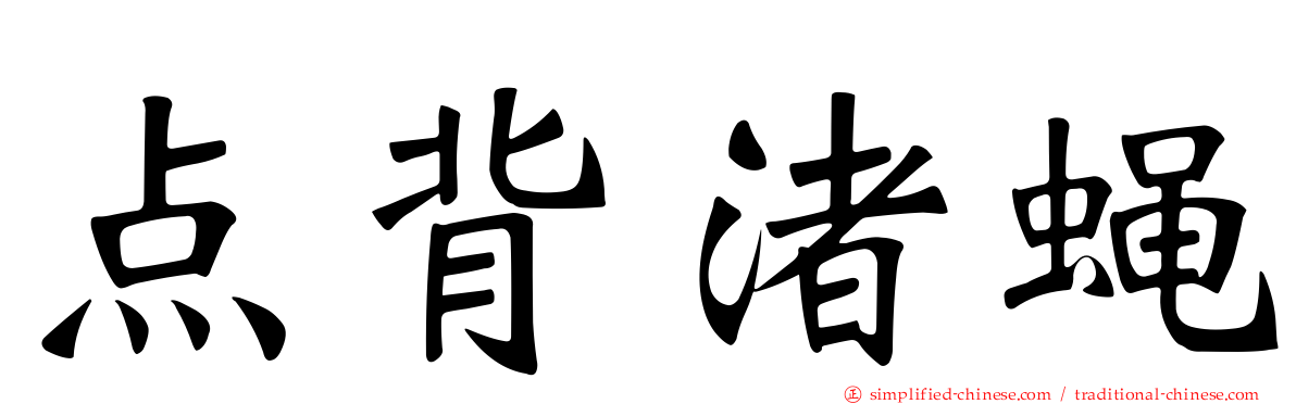 点背渚蝇