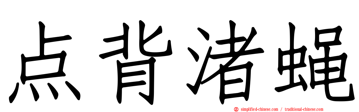 点背渚蝇