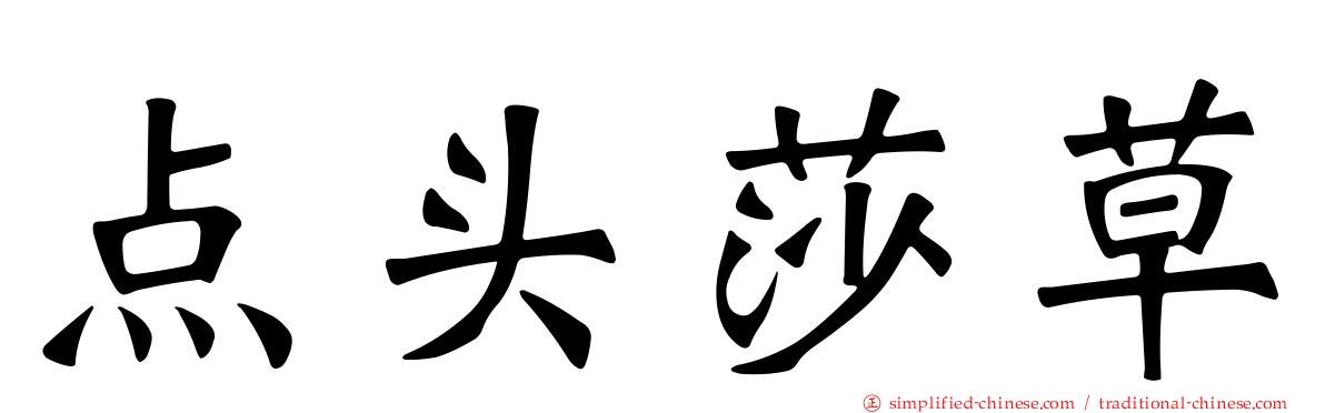 点头莎草