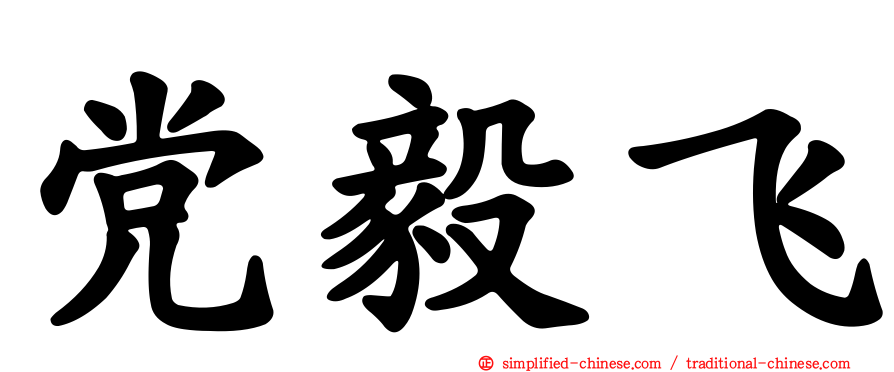 党毅飞