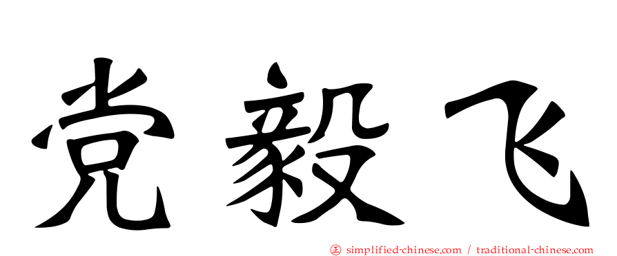 党毅飞