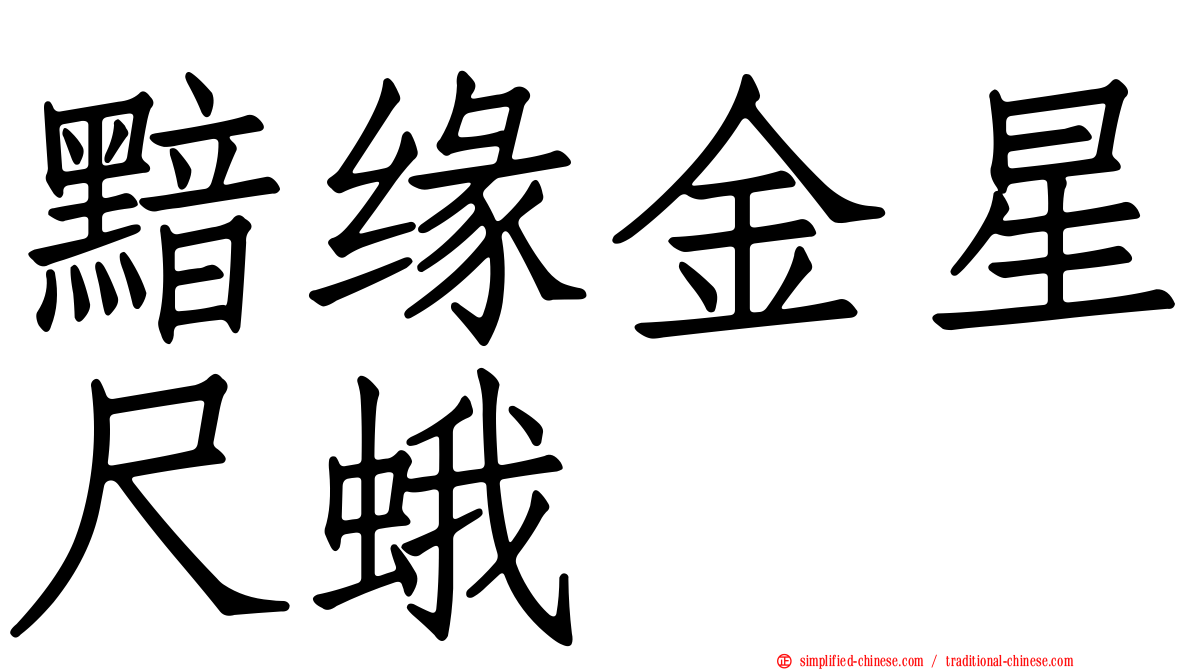 黯缘金星尺蛾