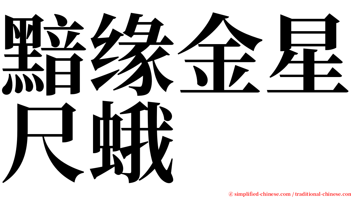 黯缘金星尺蛾 serif font