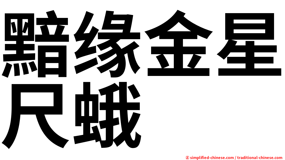 黯缘金星尺蛾