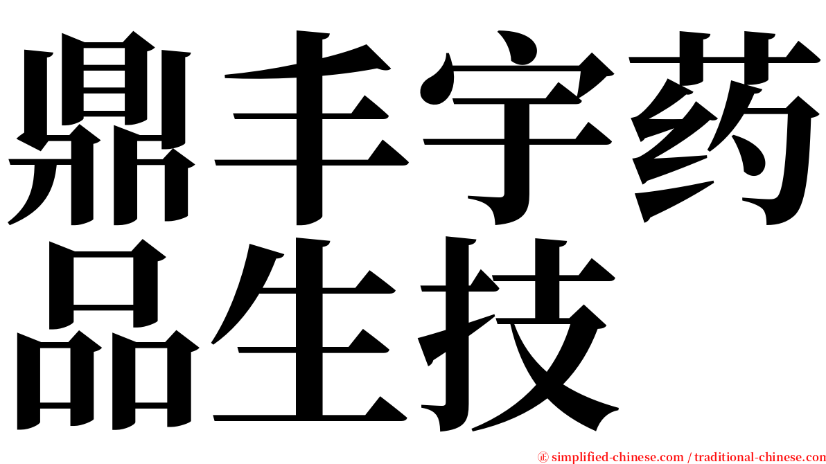鼎丰宇药品生技 serif font