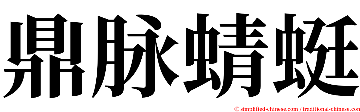鼎脉蜻蜓 serif font