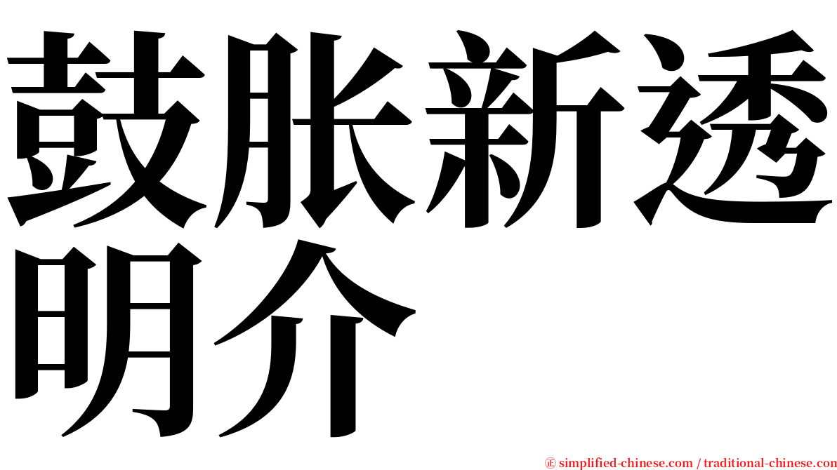 鼓胀新透明介 serif font