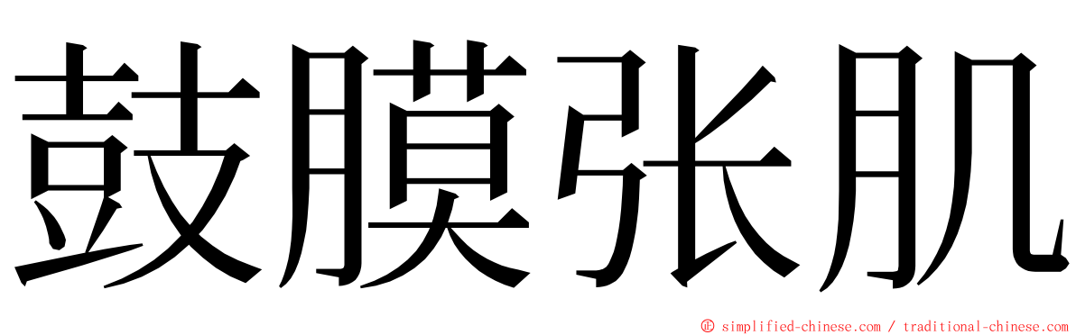 鼓膜张肌 ming font