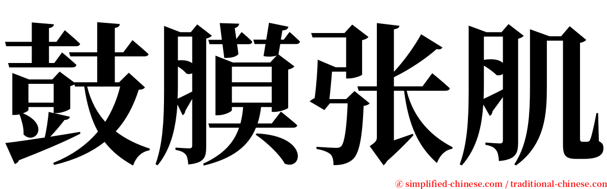 鼓膜张肌 serif font