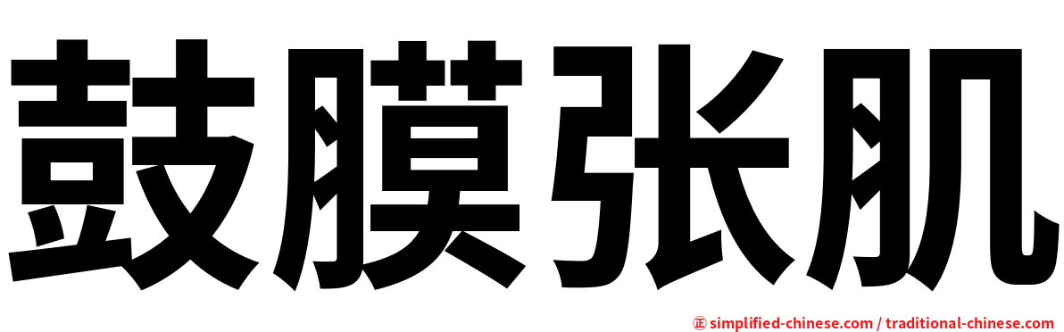 鼓膜张肌