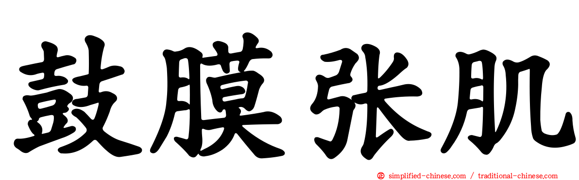 鼓膜张肌