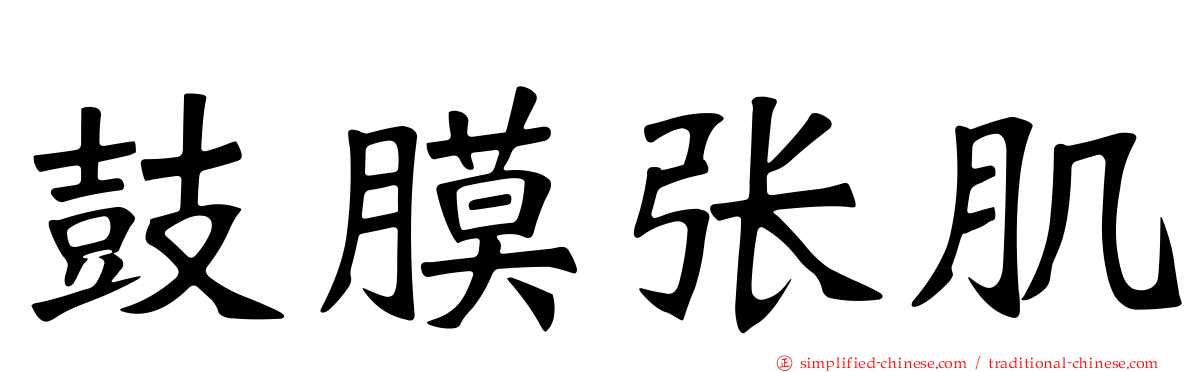 鼓膜张肌