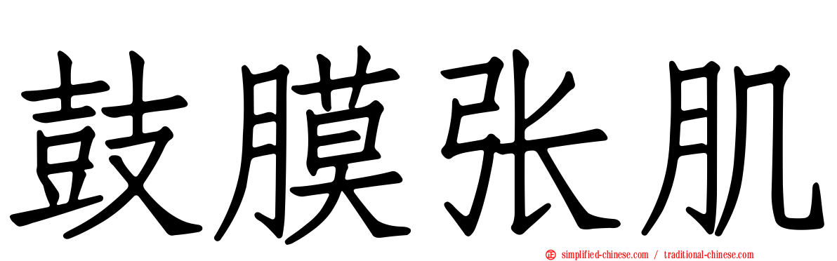 鼓膜张肌