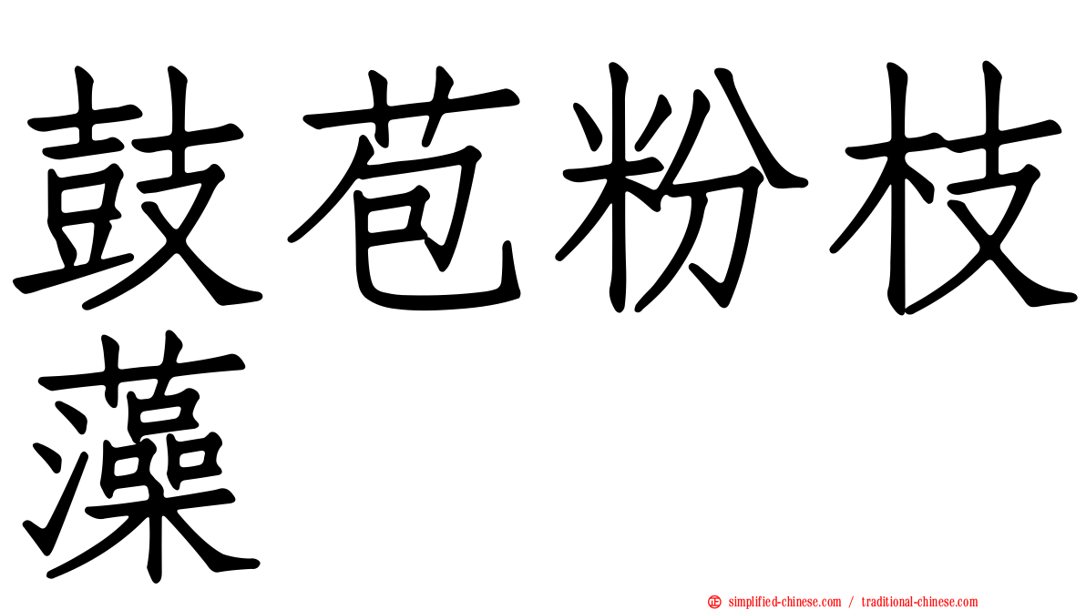 鼓苞粉枝藻