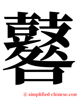 鼛 serif font