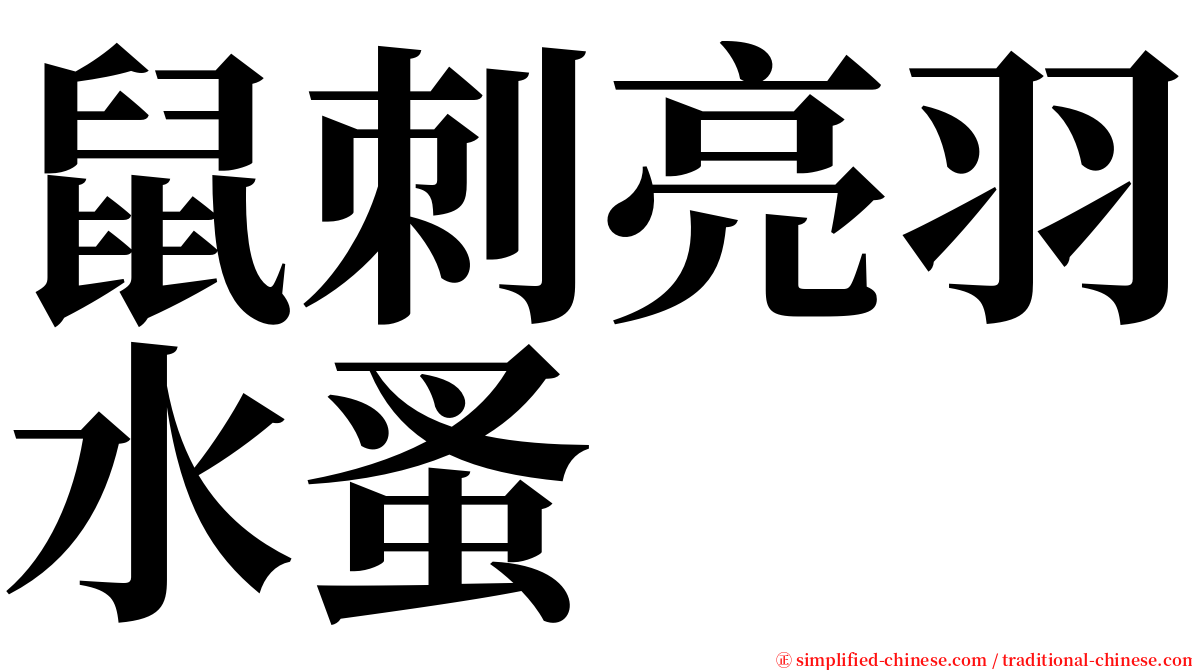 鼠刺亮羽水蚤 serif font