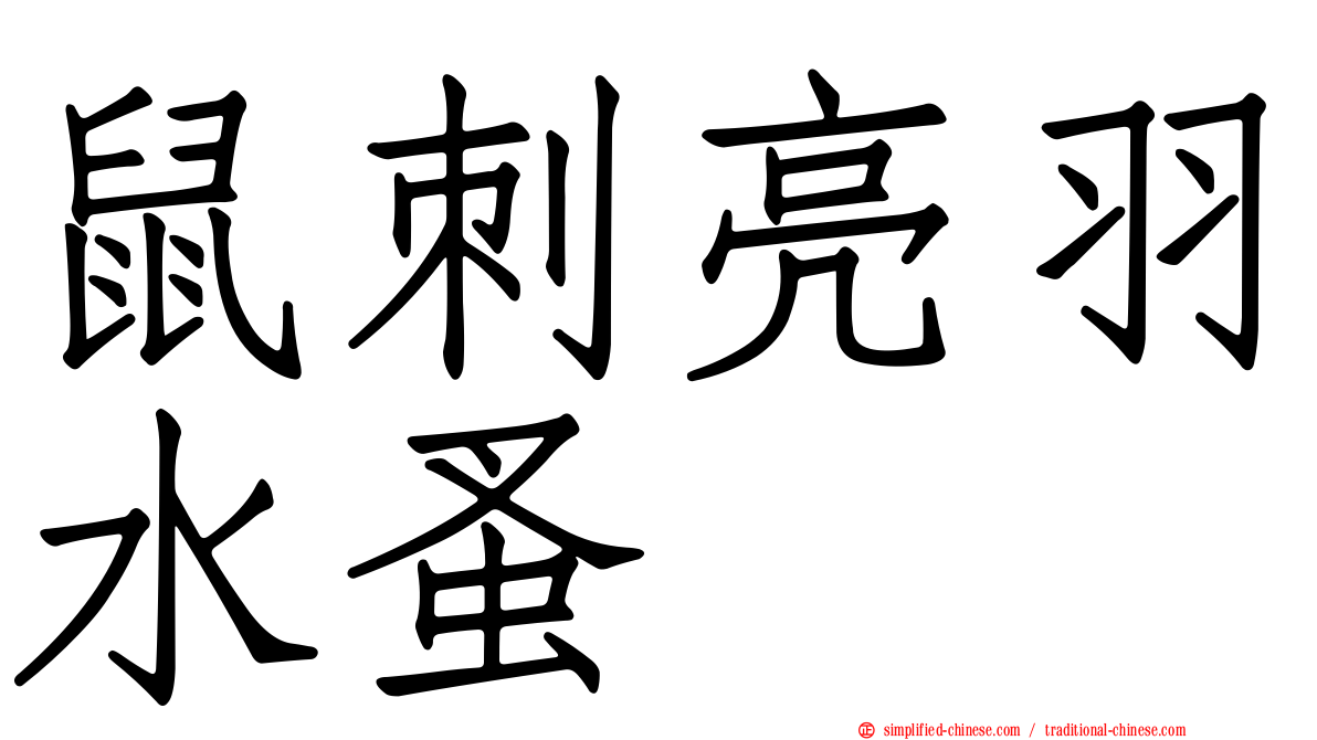 鼠刺亮羽水蚤