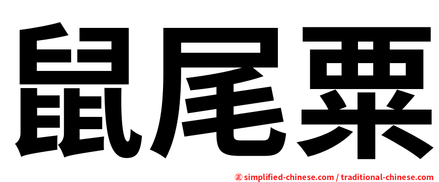 鼠尾粟