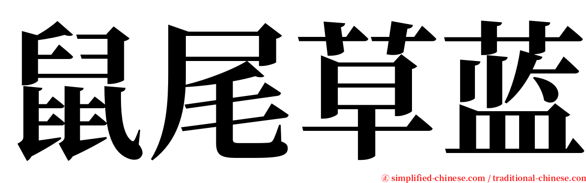 鼠尾草蓝 serif font