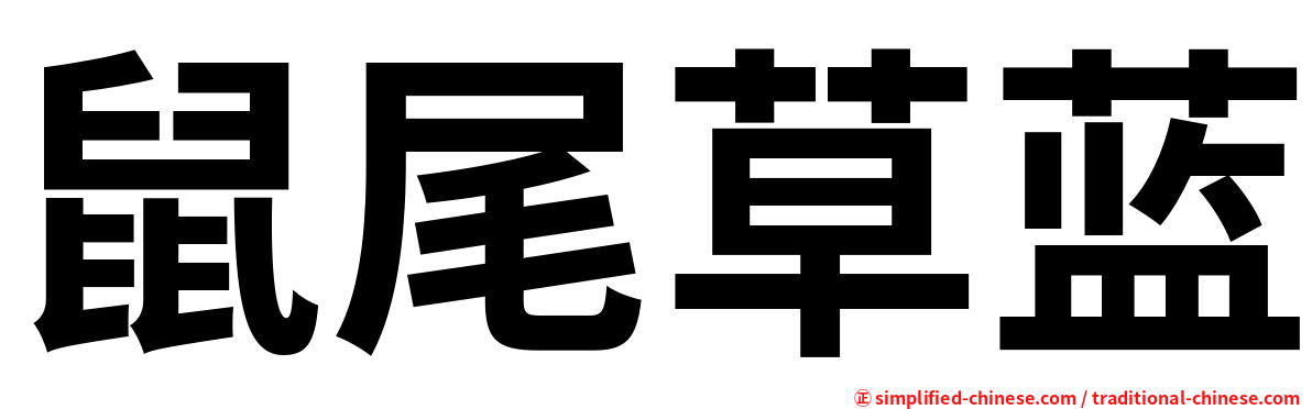 鼠尾草蓝
