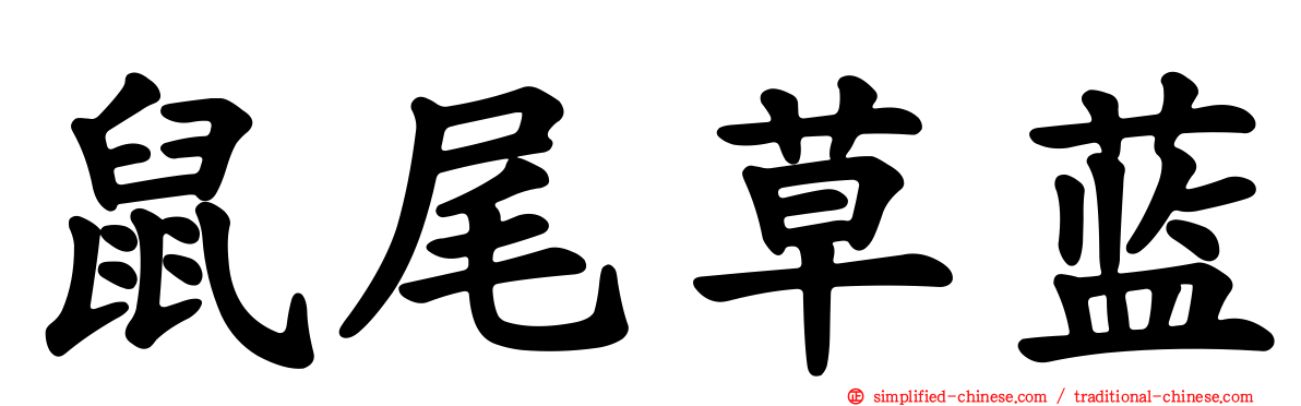 鼠尾草蓝