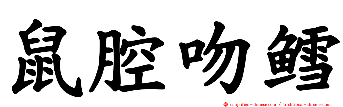鼠腔吻鳕