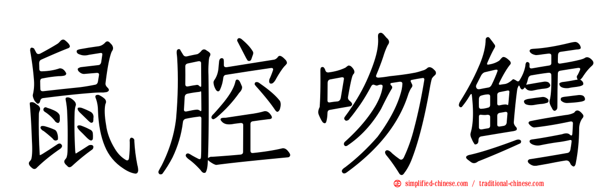 鼠腔吻鳕