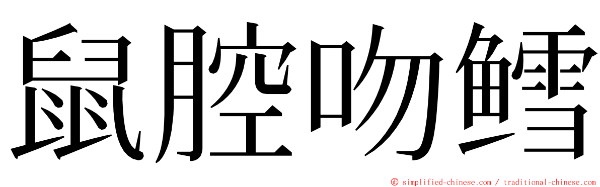 鼠腔吻鳕 ming font