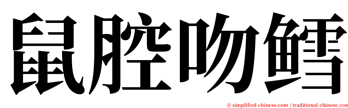 鼠腔吻鳕 serif font