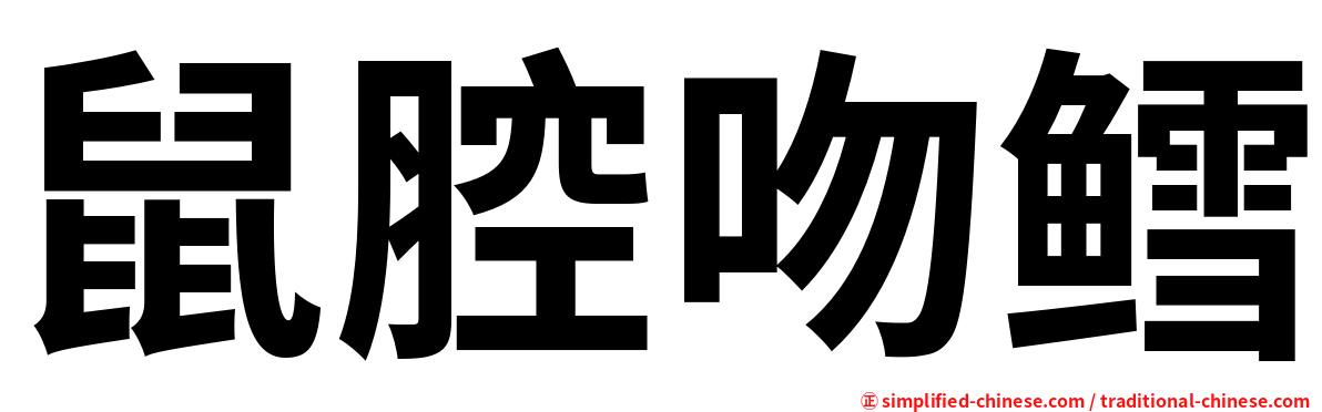 鼠腔吻鳕