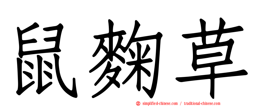 鼠麹草