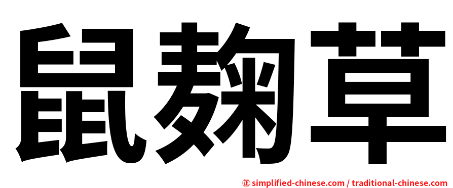 鼠麹草