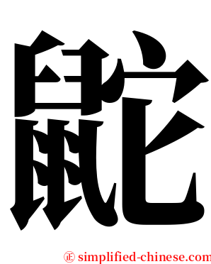 鼧 serif font
