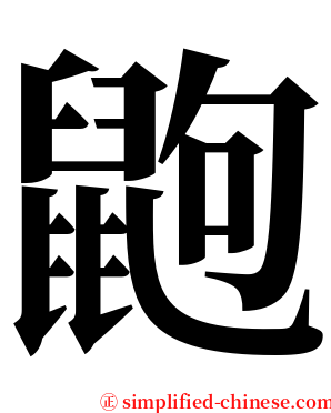 鼩 serif font