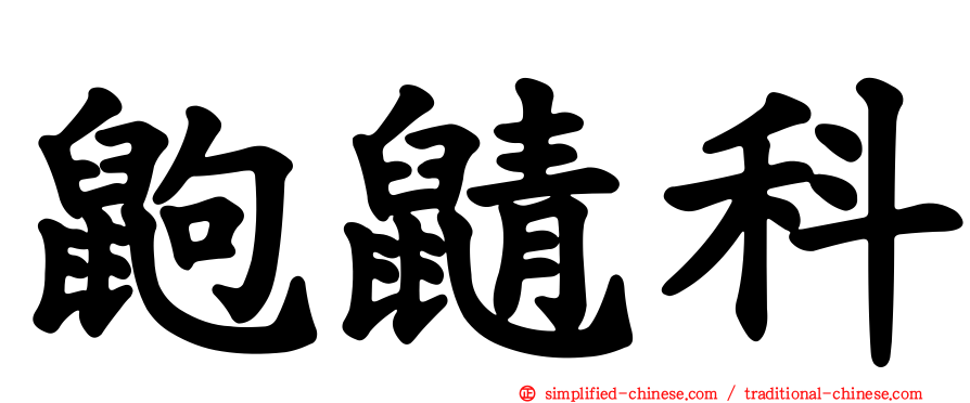 鼩鼱科