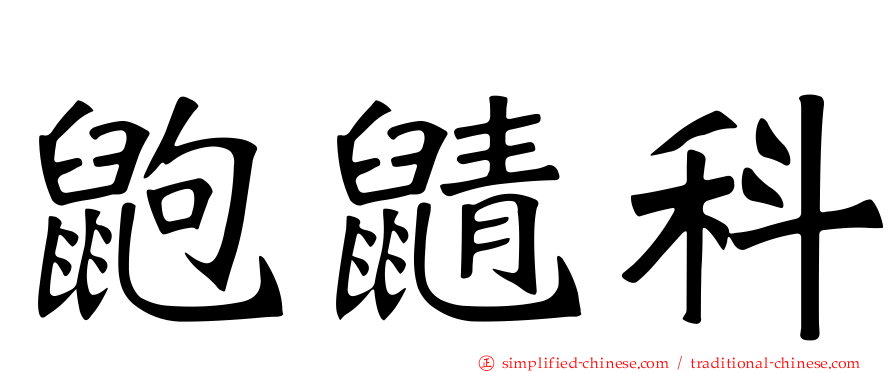 鼩鼱科