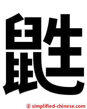 鼪