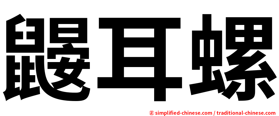 鼹耳螺