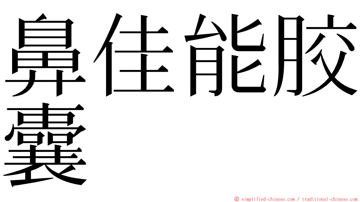 鼻佳能胶囊 ming font