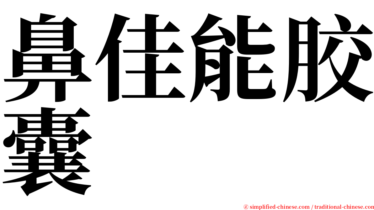 鼻佳能胶囊 serif font